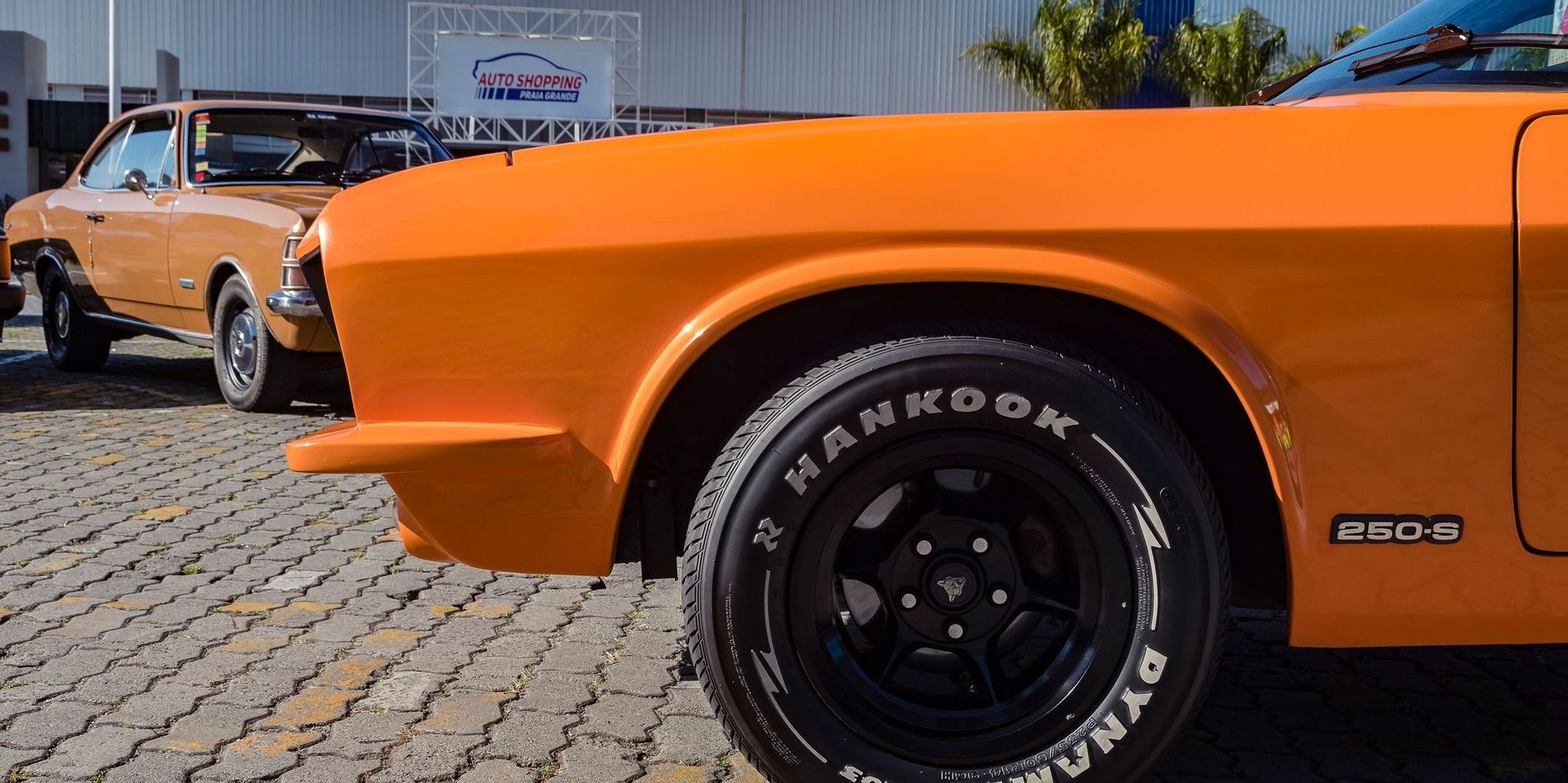 iStock-1409915027-modified-50d45fe8-a727-416d-8f90-4d6c1fd93336