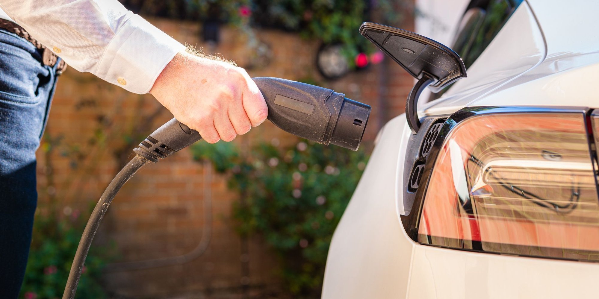 iStock-1414184258-modified-d2687381-e395-4fff-88cc-8b62c4b96bf1